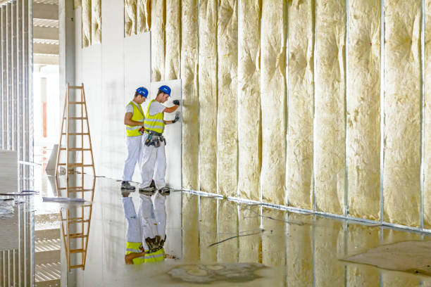 Best Insulation Maintenance and Repair in Magnet Cove, AR